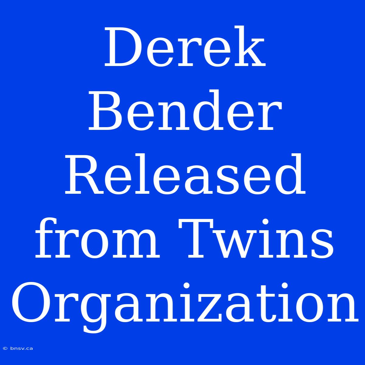 Derek Bender Released From Twins Organization