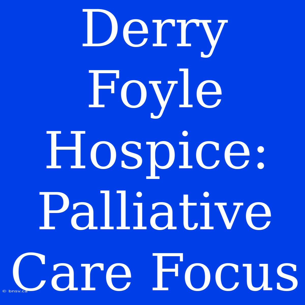 Derry Foyle Hospice:  Palliative Care Focus