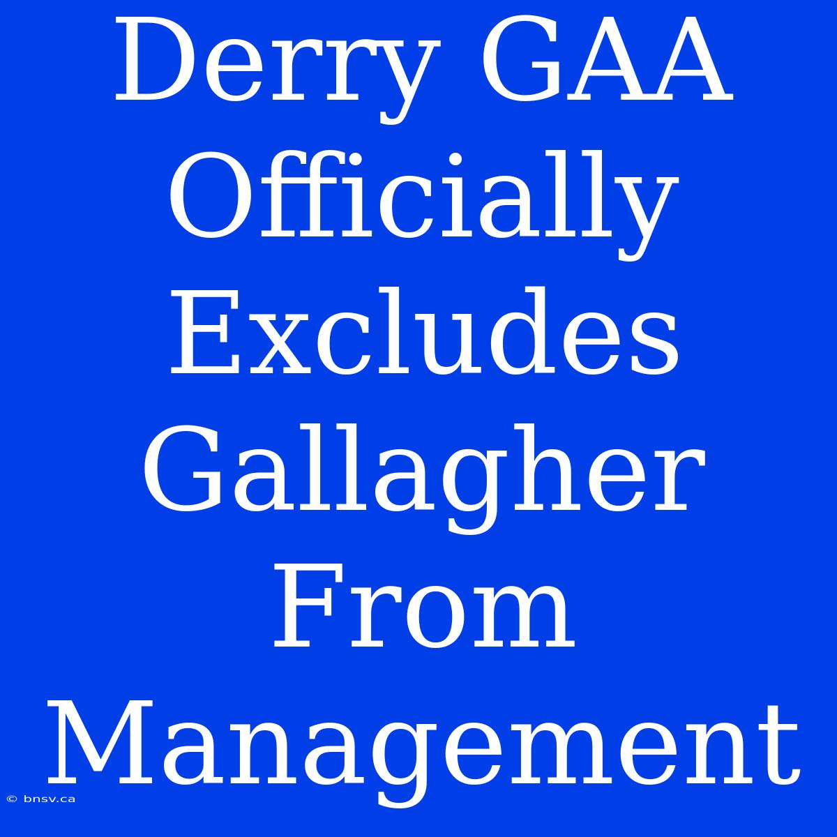 Derry GAA Officially Excludes Gallagher From Management