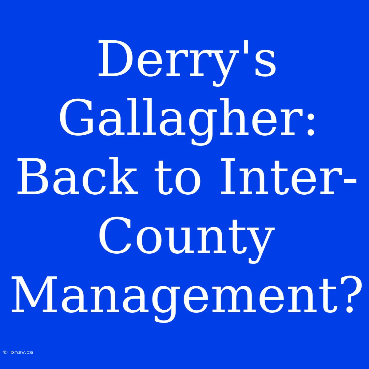 Derry's Gallagher: Back To Inter-County Management?