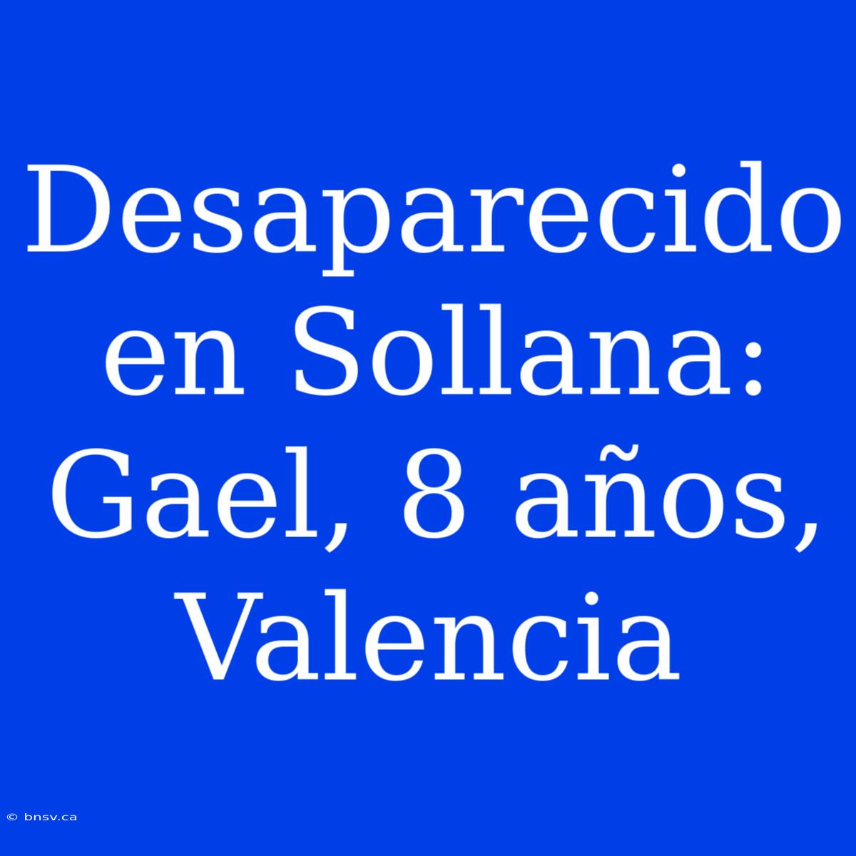 Desaparecido En Sollana: Gael, 8 Años, Valencia