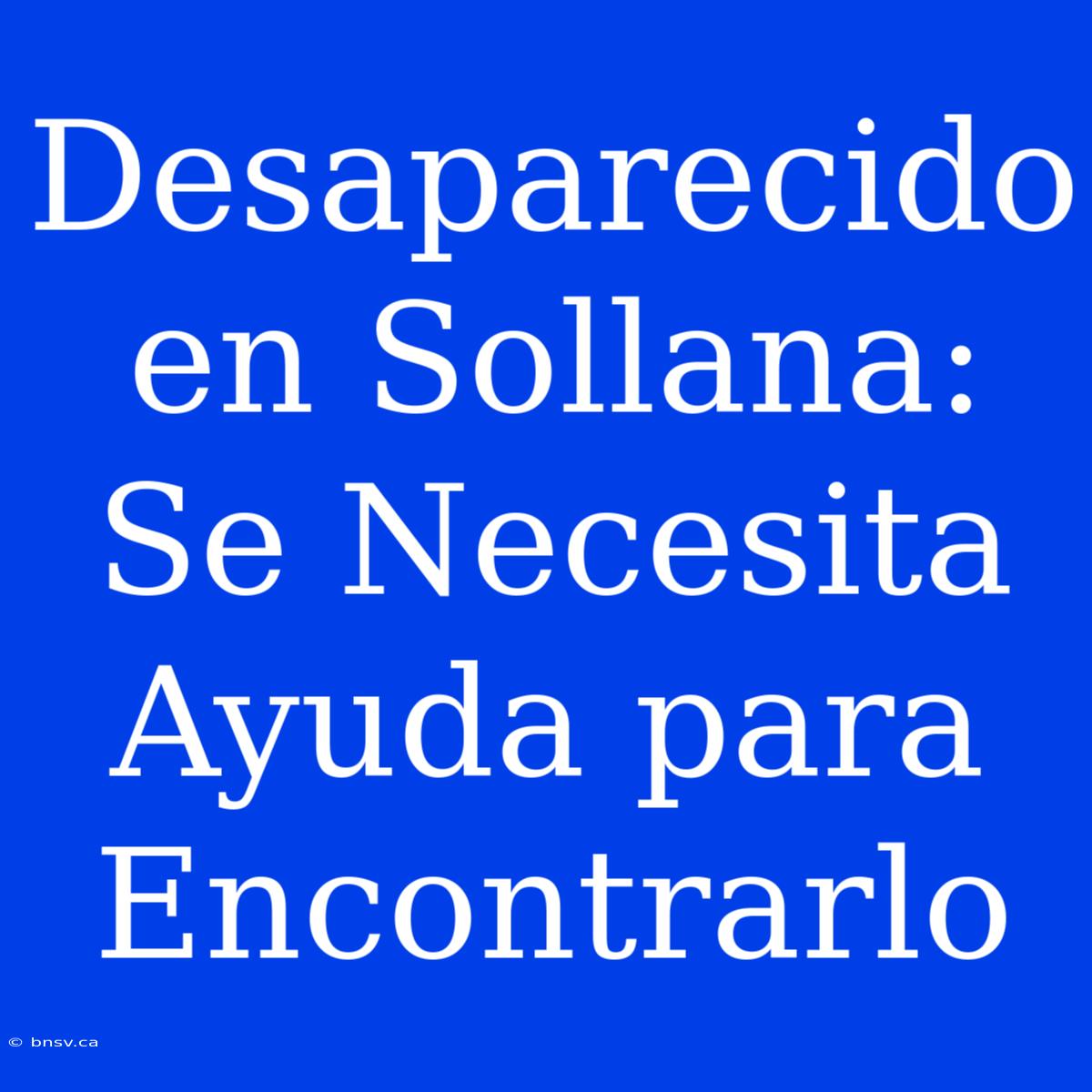 Desaparecido En Sollana: Se Necesita Ayuda Para Encontrarlo