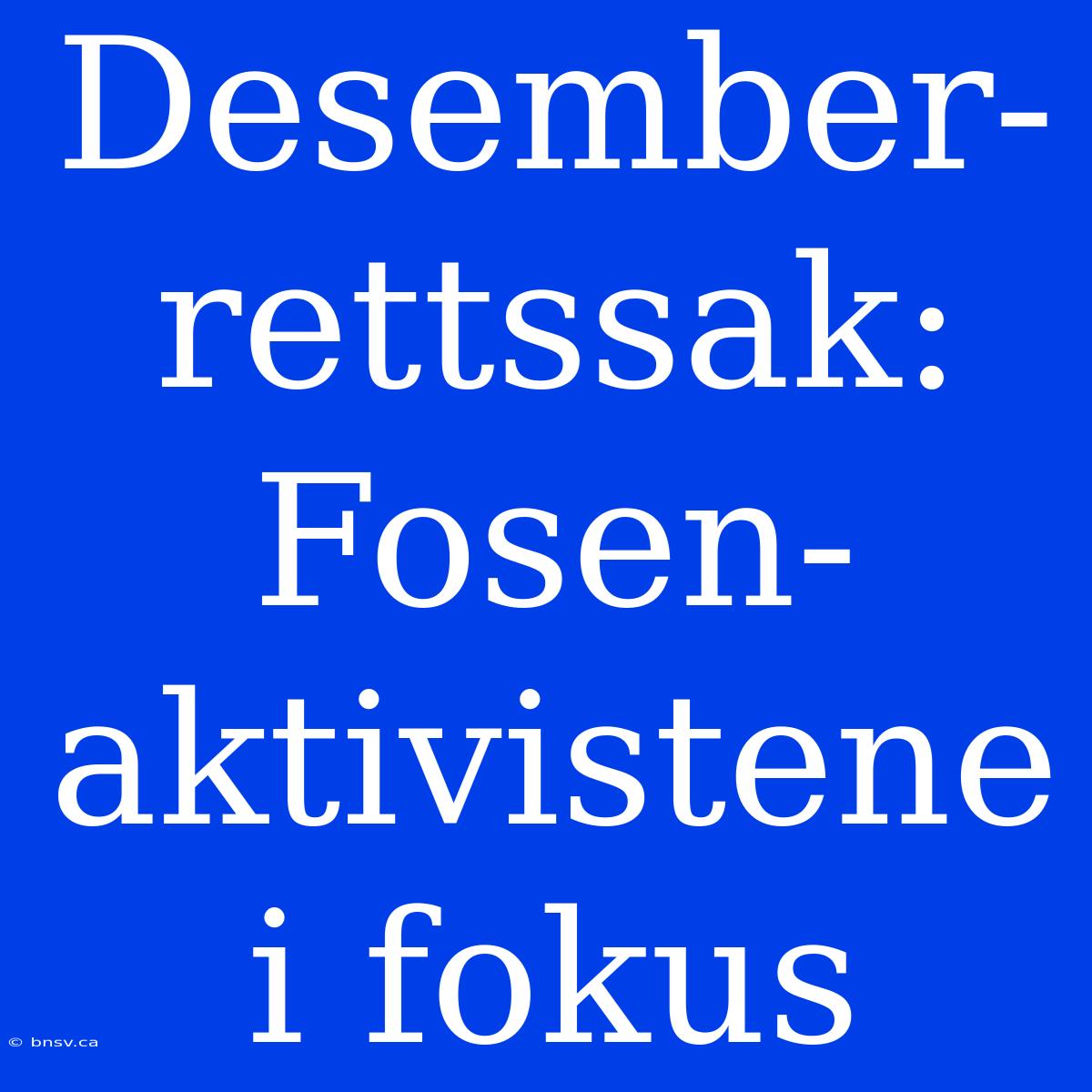 Desember-rettssak: Fosen-aktivistene I Fokus