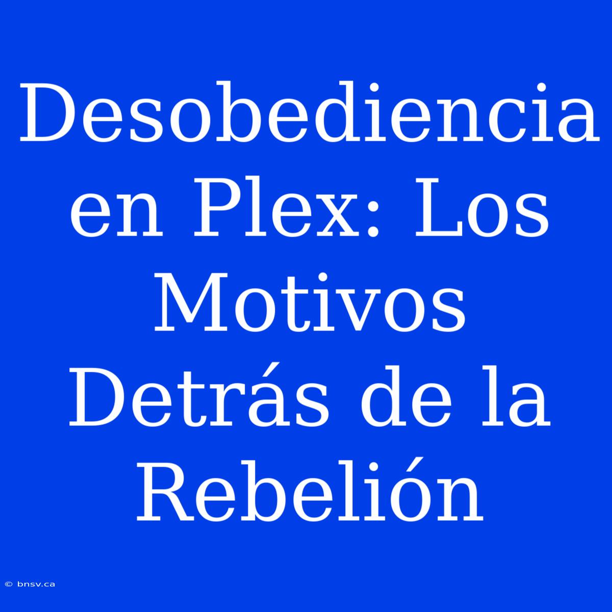 Desobediencia En Plex: Los Motivos Detrás De La Rebelión