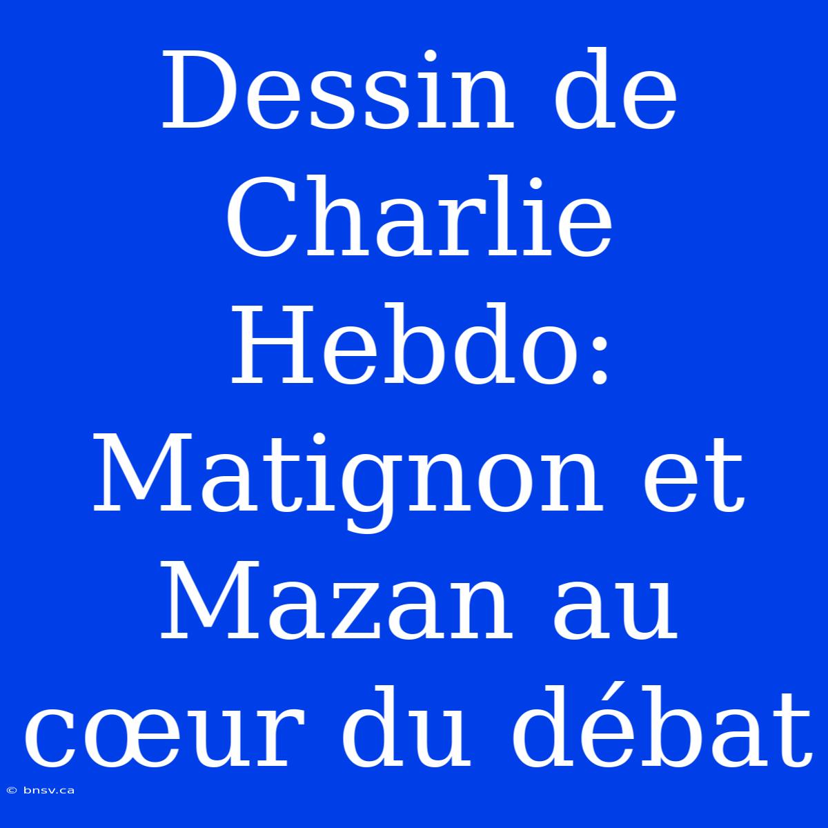 Dessin De Charlie Hebdo: Matignon Et Mazan Au Cœur Du Débat