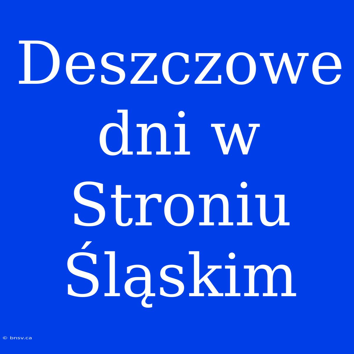 Deszczowe Dni W Stroniu Śląskim