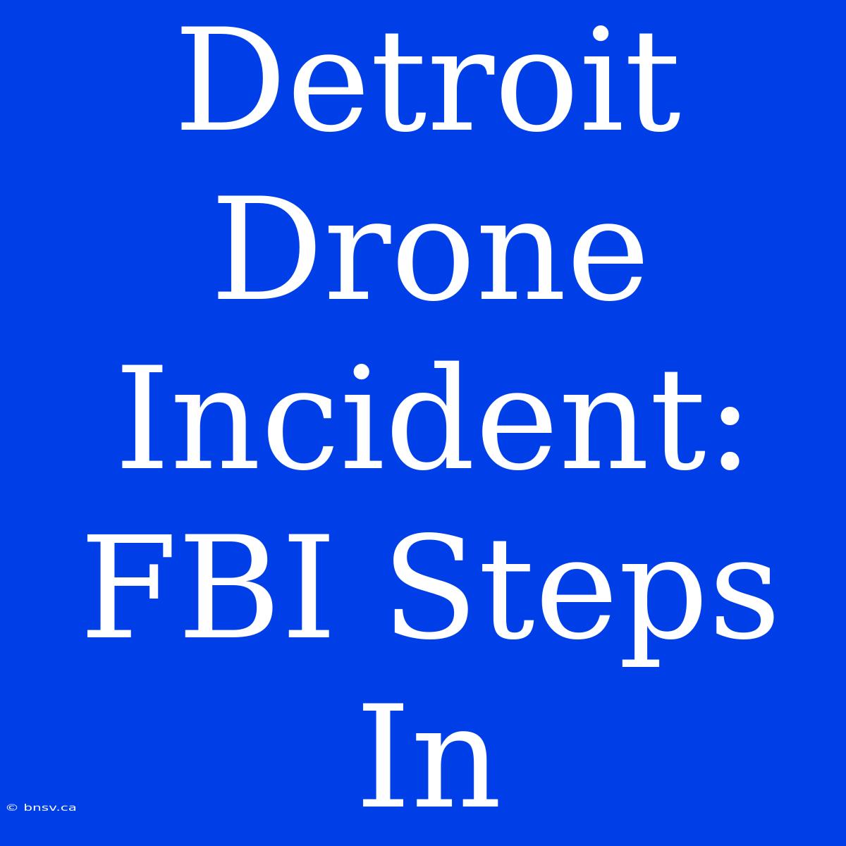 Detroit Drone Incident: FBI Steps In