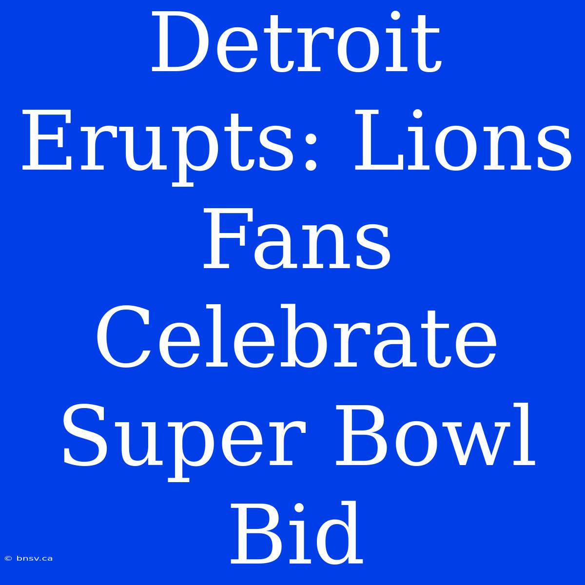 Detroit Erupts: Lions Fans Celebrate Super Bowl Bid