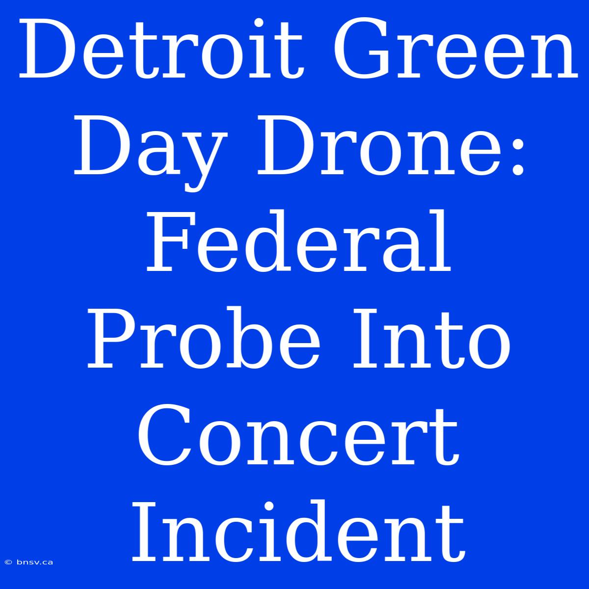 Detroit Green Day Drone: Federal Probe Into Concert Incident