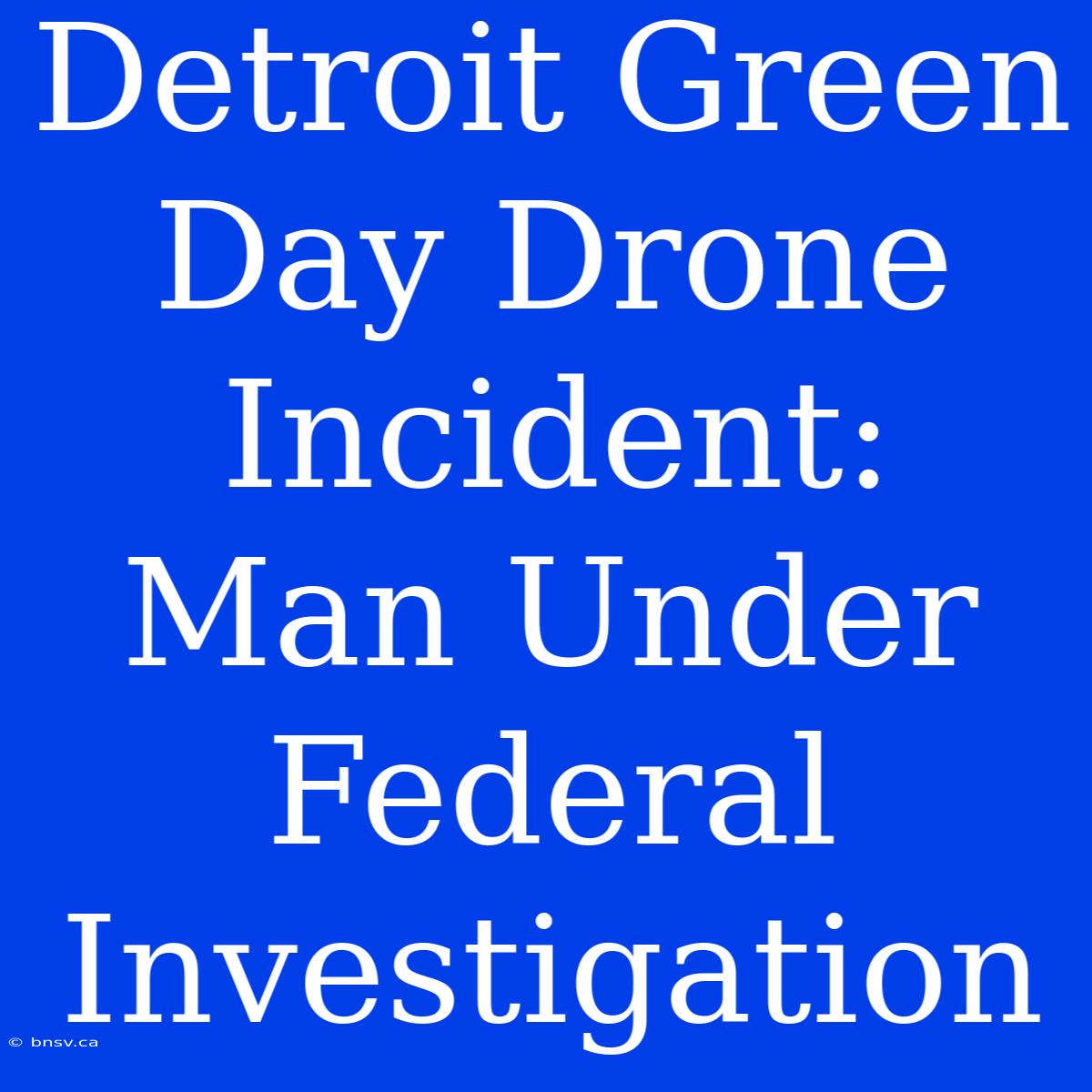 Detroit Green Day Drone Incident: Man Under Federal Investigation