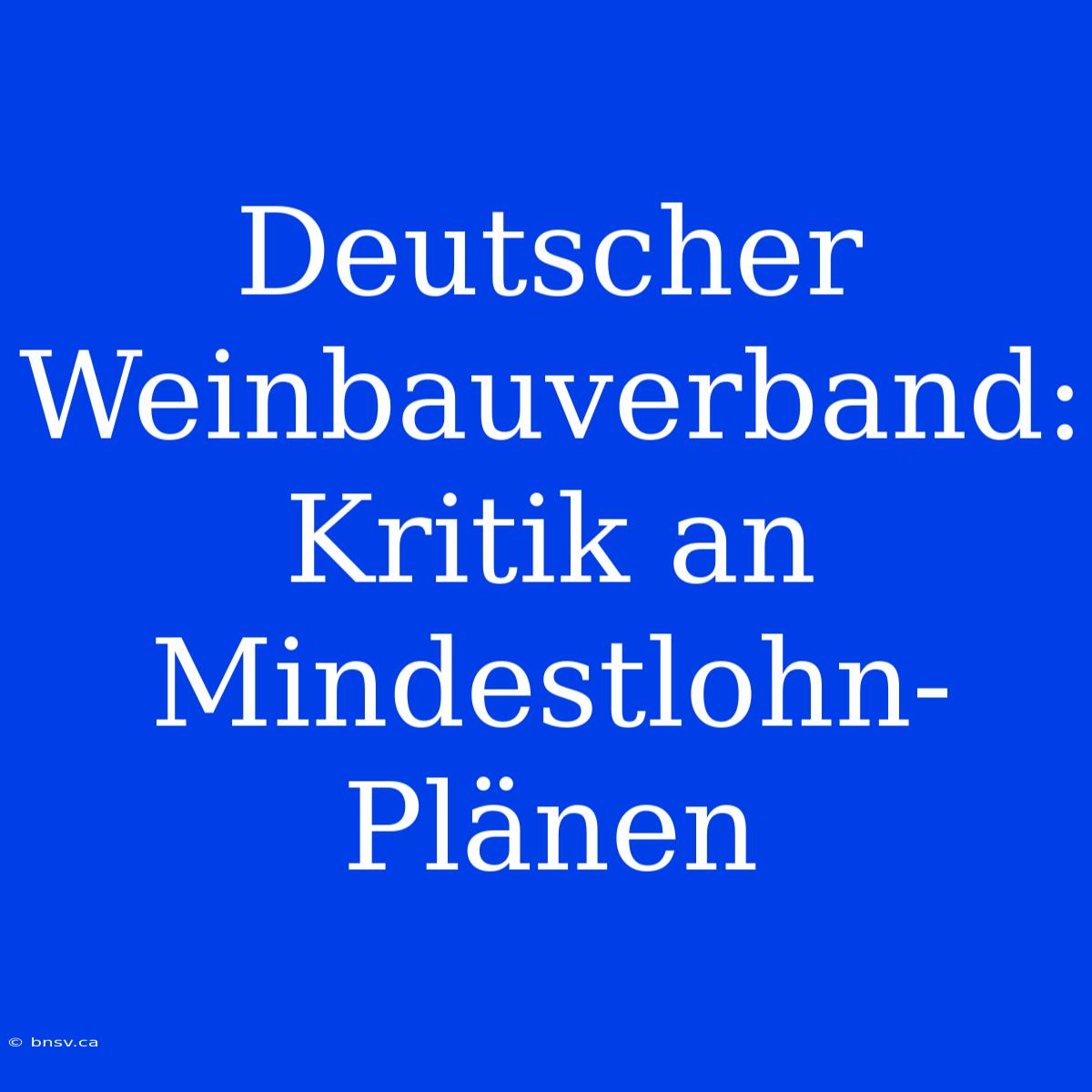 Deutscher Weinbauverband: Kritik An Mindestlohn-Plänen