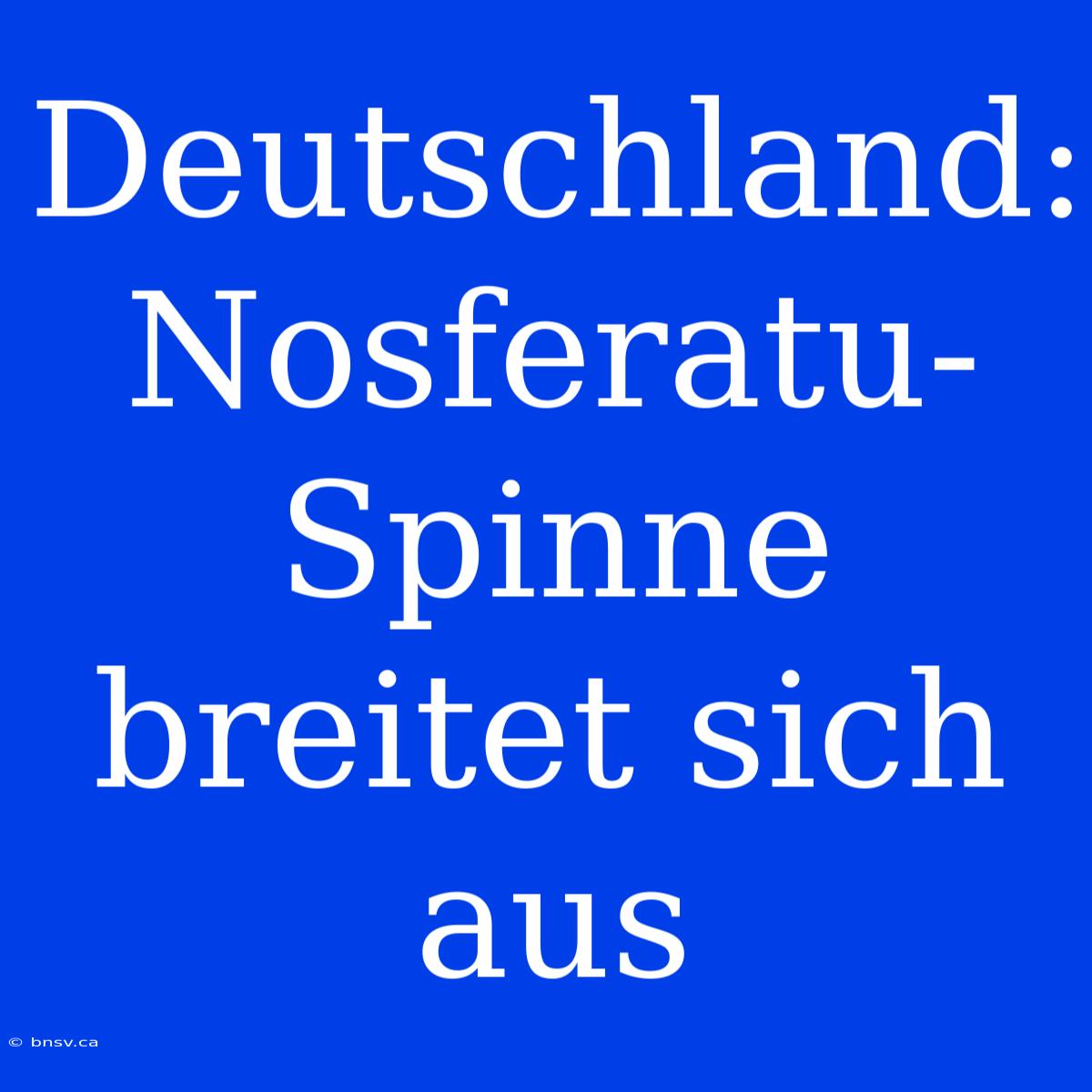 Deutschland: Nosferatu-Spinne Breitet Sich Aus