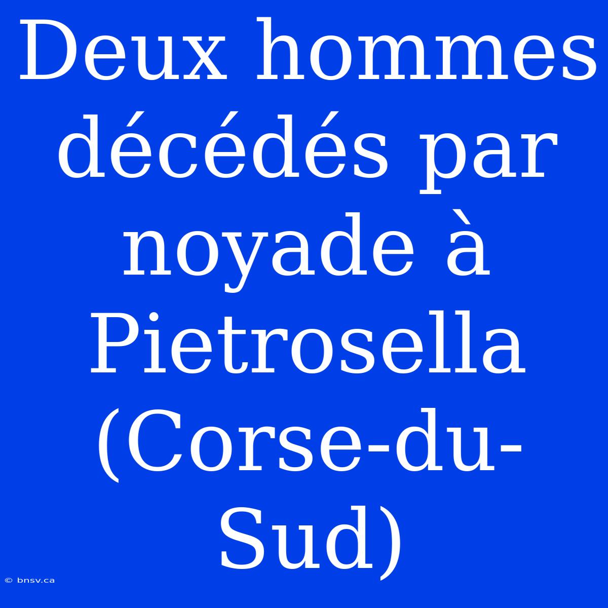 Deux Hommes Décédés Par Noyade À Pietrosella (Corse-du-Sud)