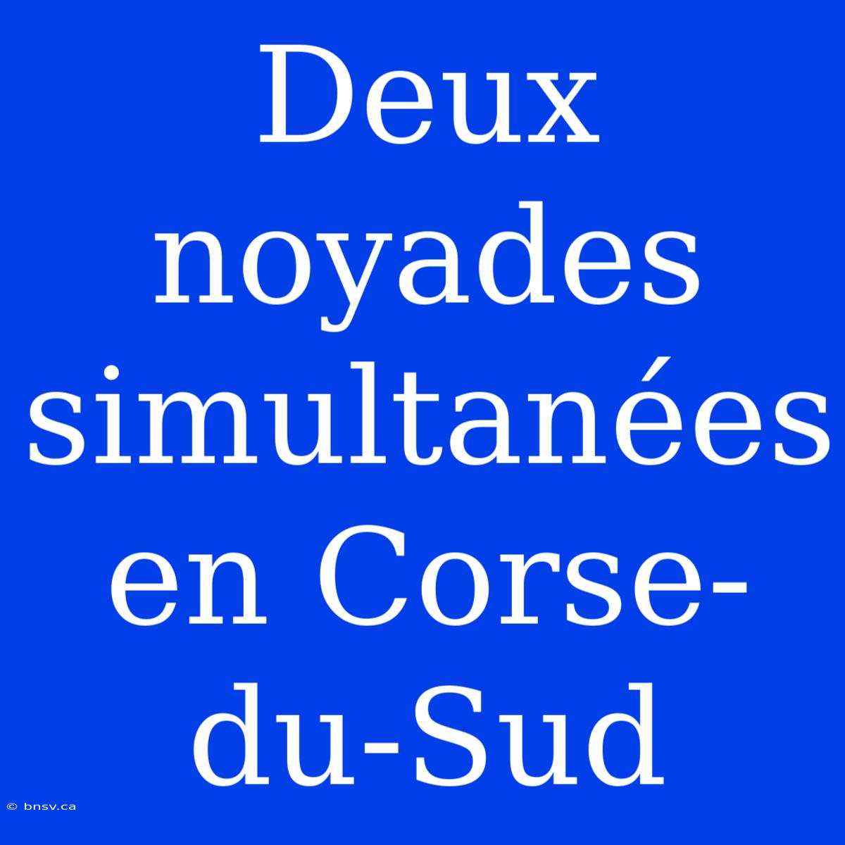 Deux Noyades Simultanées En Corse-du-Sud