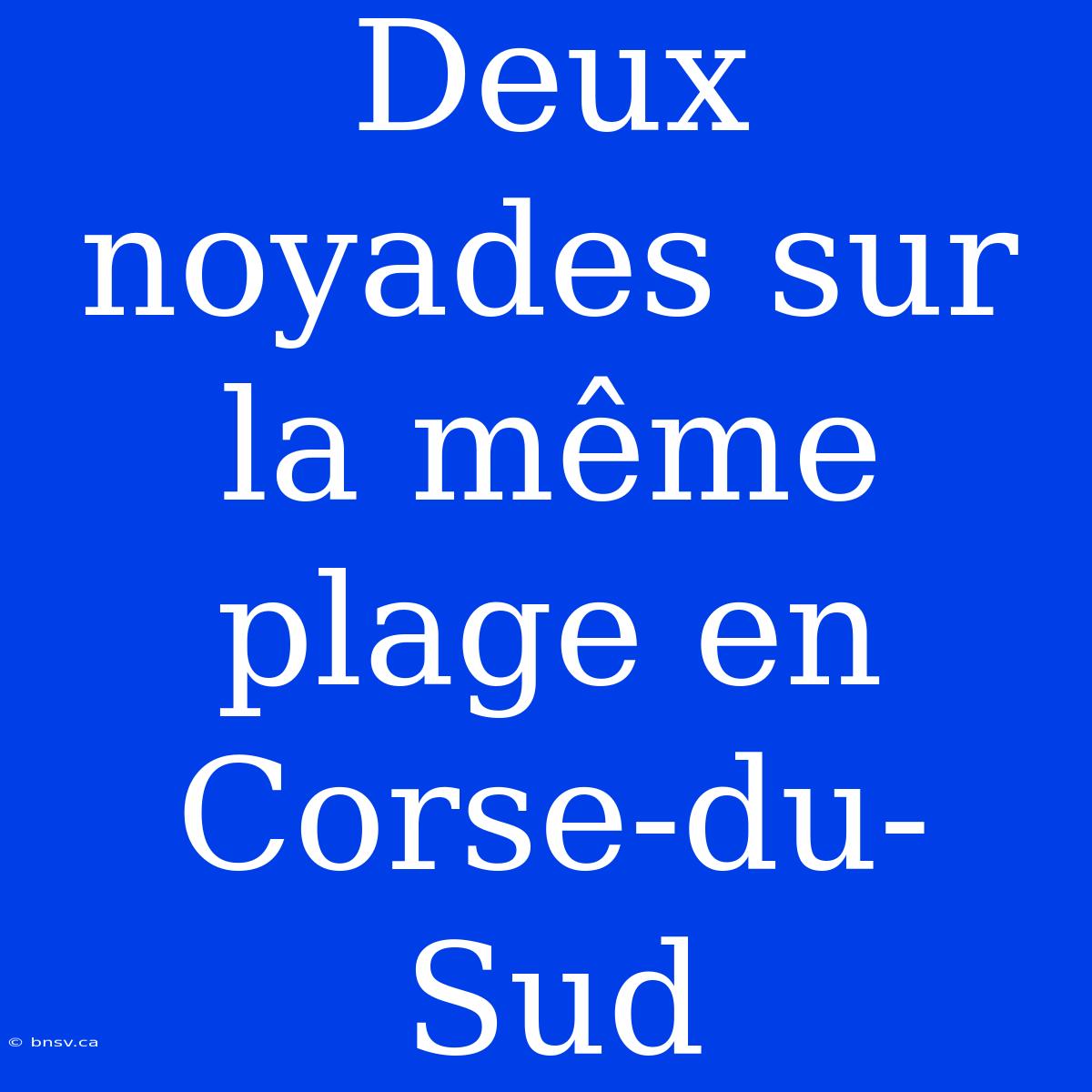 Deux Noyades Sur La Même Plage En Corse-du-Sud