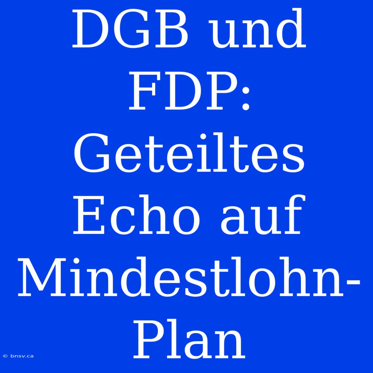 DGB Und FDP: Geteiltes Echo Auf Mindestlohn-Plan