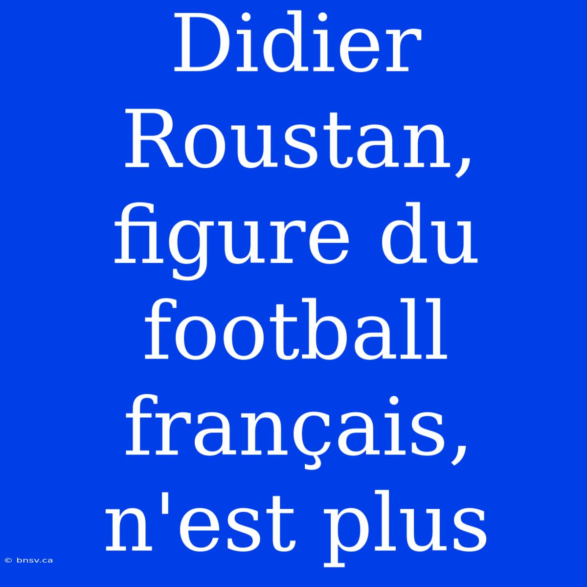 Didier Roustan, Figure Du Football Français, N'est Plus