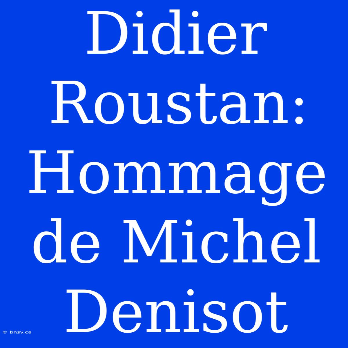 Didier Roustan: Hommage De Michel Denisot