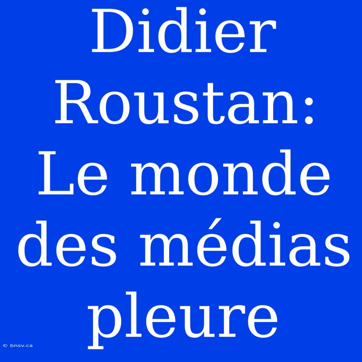 Didier Roustan: Le Monde Des Médias Pleure