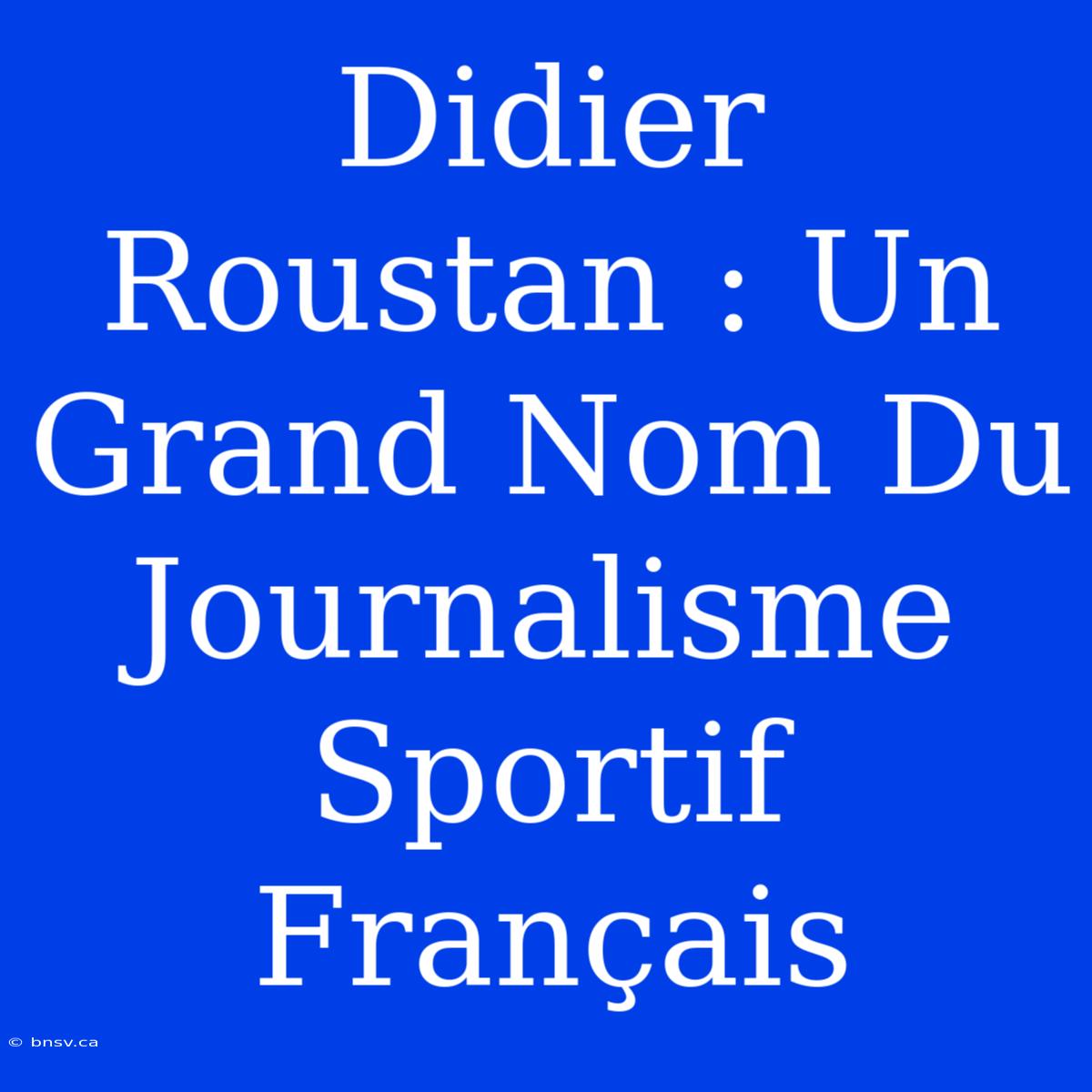 Didier Roustan : Un Grand Nom Du Journalisme Sportif Français