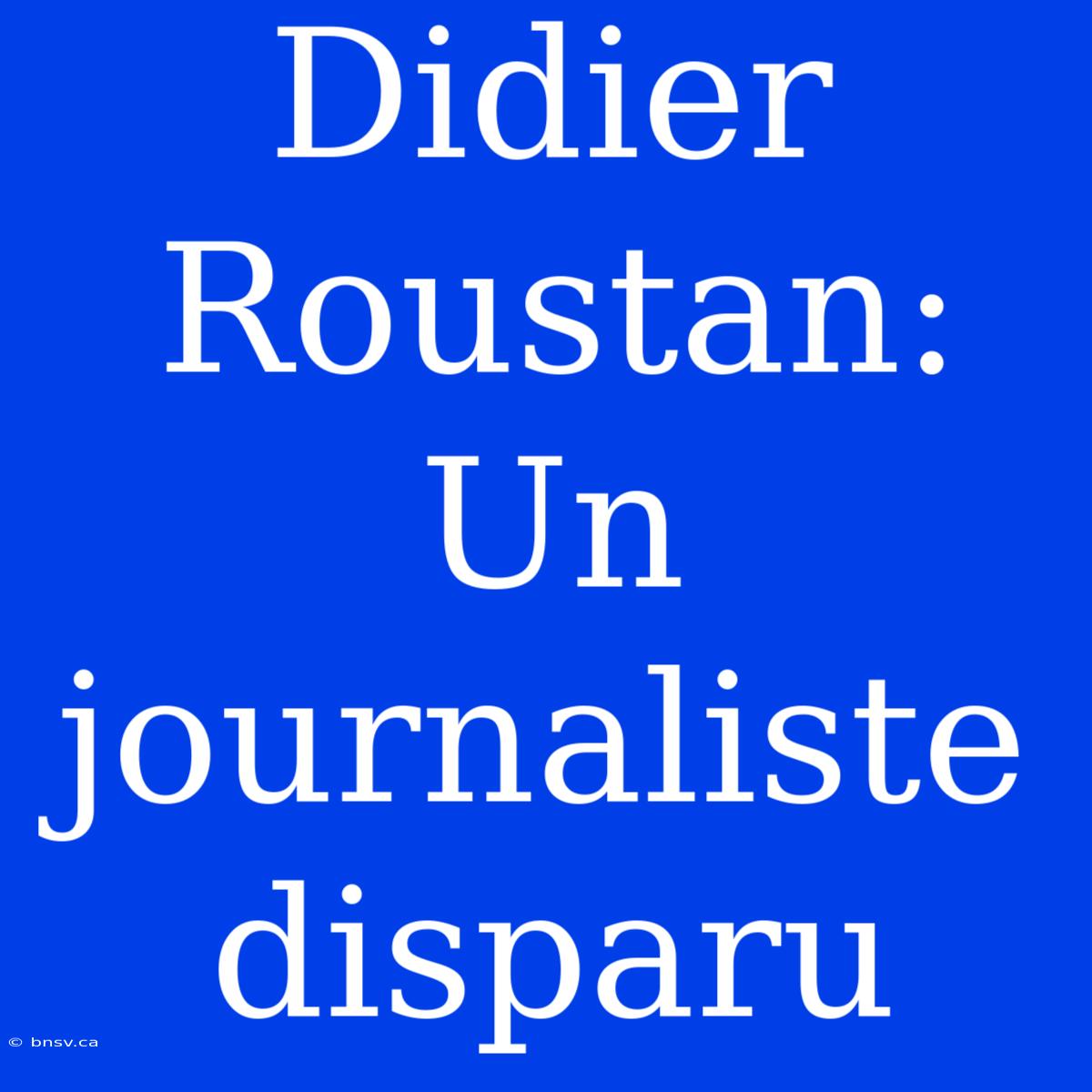 Didier Roustan: Un Journaliste Disparu