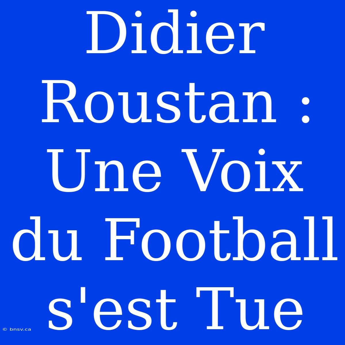 Didier Roustan : Une Voix Du Football S'est Tue