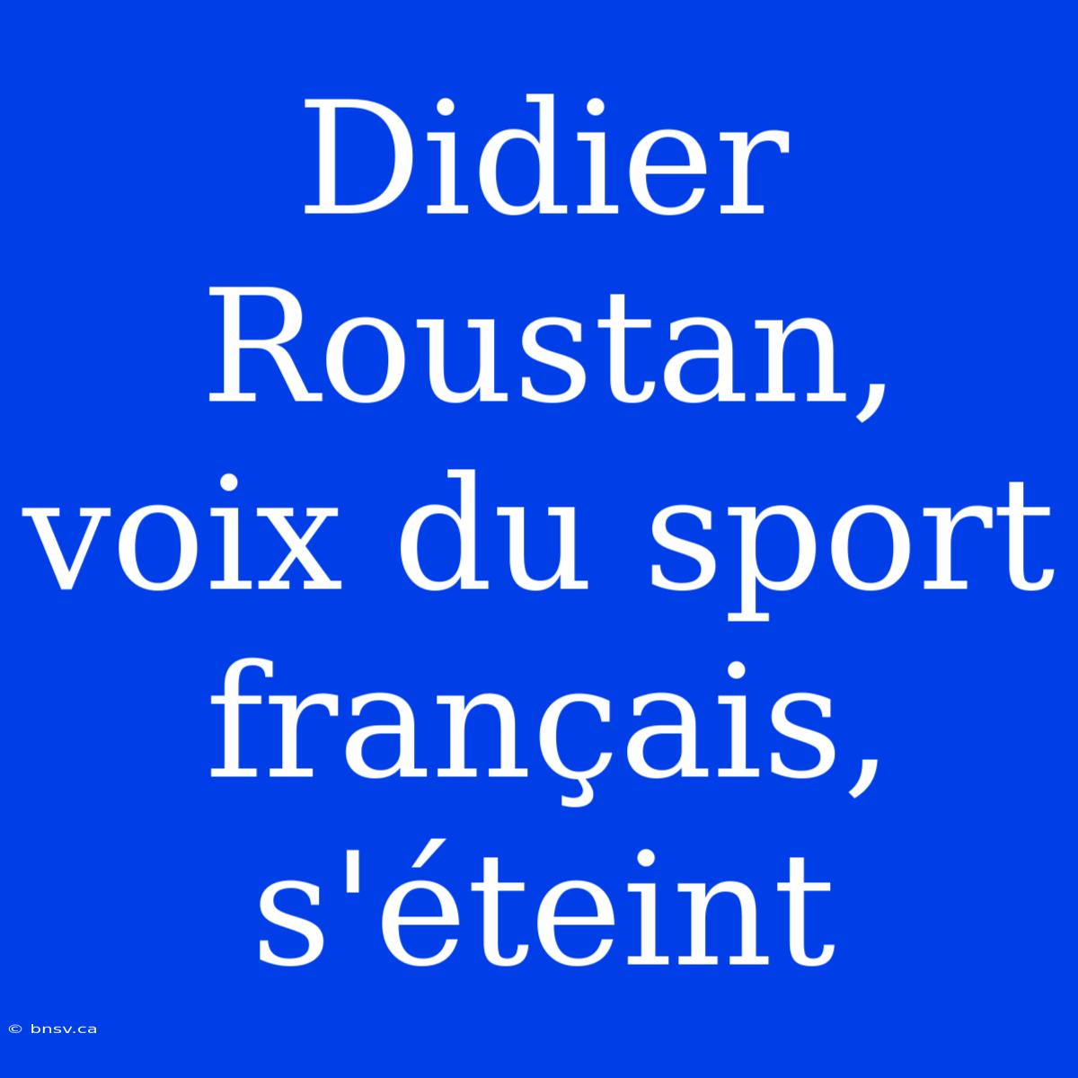 Didier Roustan, Voix Du Sport Français, S'éteint