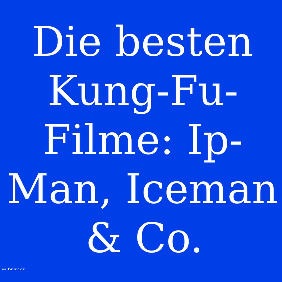 Die Besten Kung-Fu-Filme: Ip-Man, Iceman & Co.