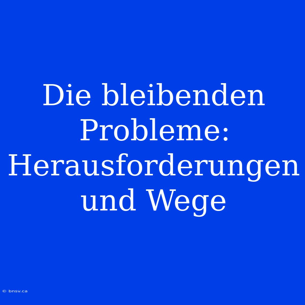 Die Bleibenden Probleme: Herausforderungen Und Wege