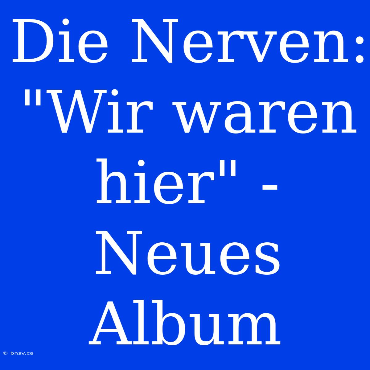 Die Nerven: 