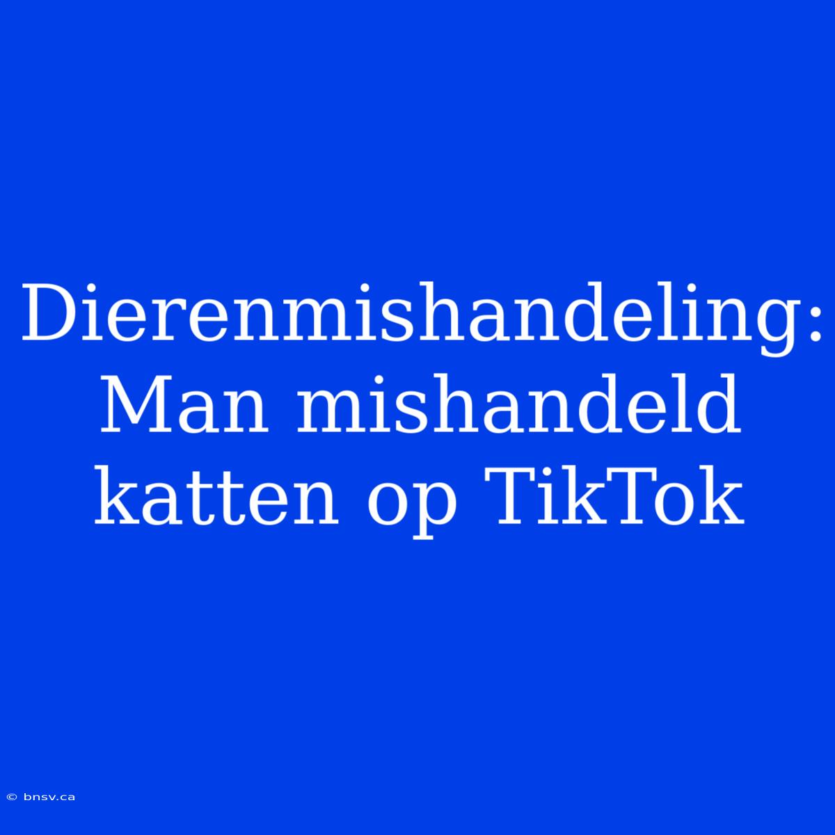 Dierenmishandeling: Man Mishandeld Katten Op TikTok