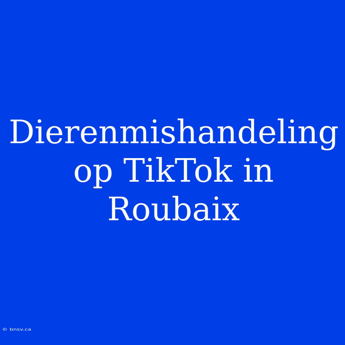 Dierenmishandeling Op TikTok In Roubaix