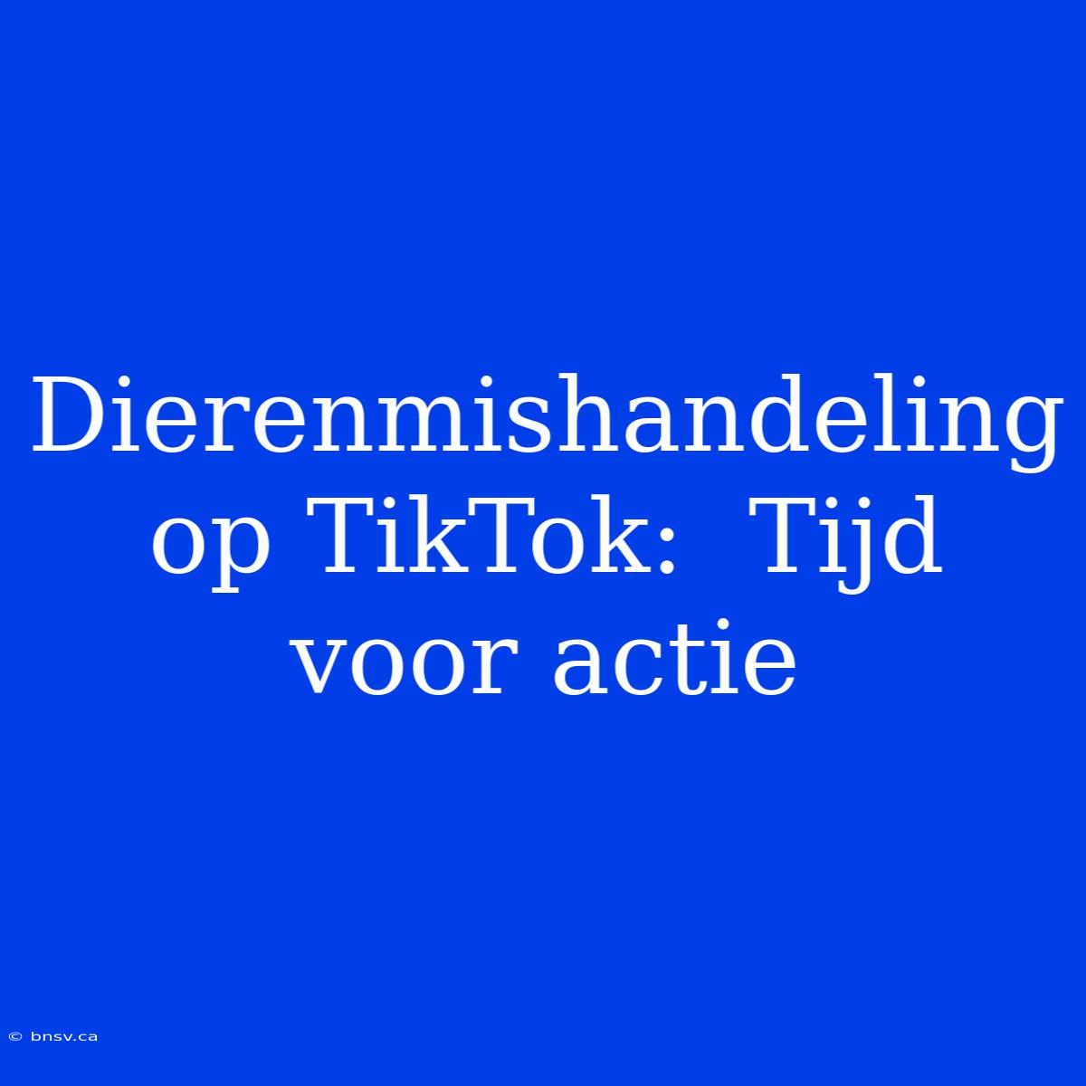 Dierenmishandeling Op TikTok:  Tijd Voor Actie