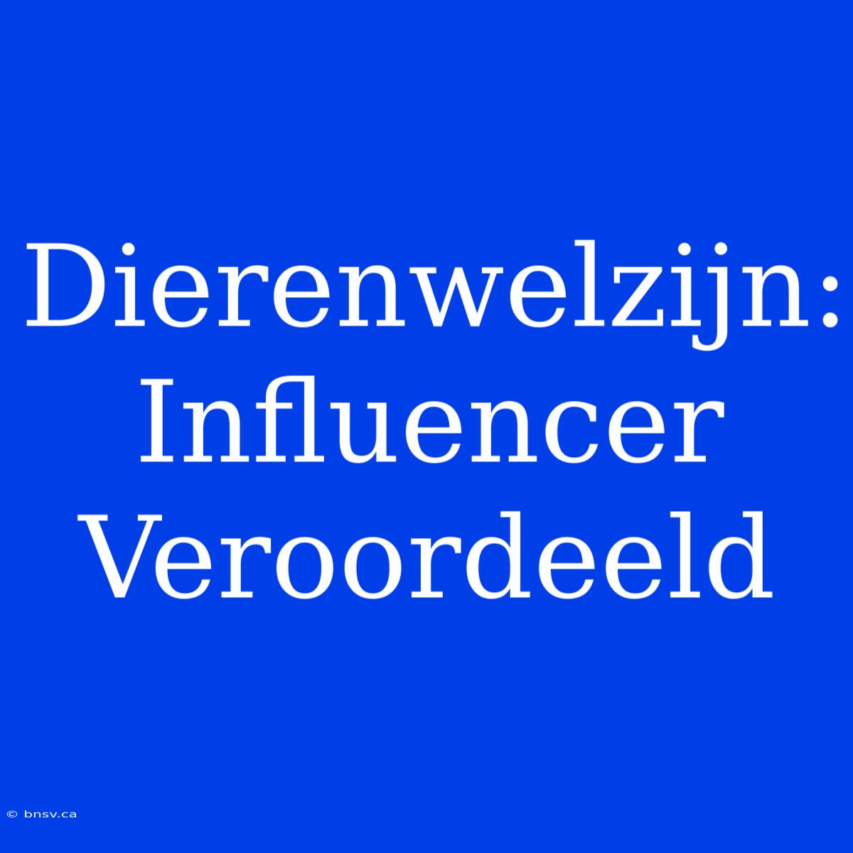 Dierenwelzijn: Influencer Veroordeeld