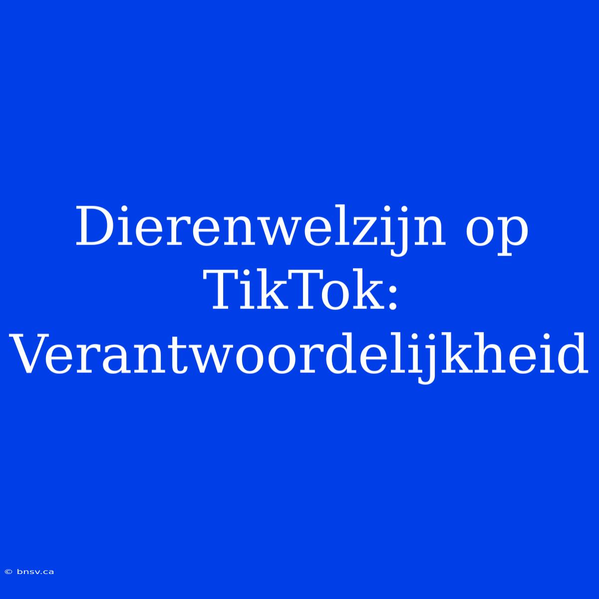 Dierenwelzijn Op TikTok:  Verantwoordelijkheid