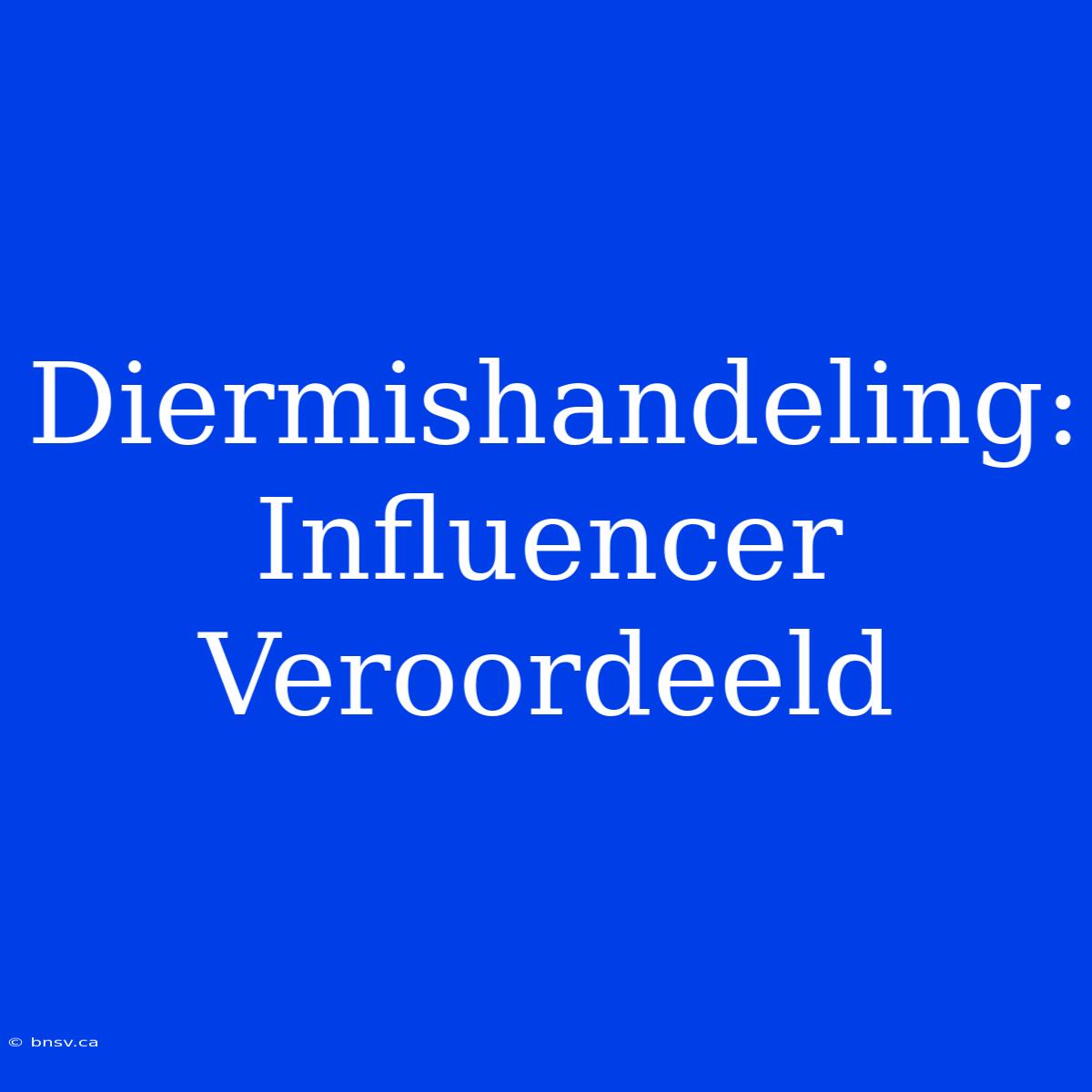 Diermishandeling: Influencer Veroordeeld