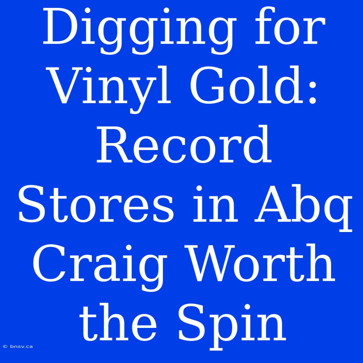 Digging For Vinyl Gold: Record Stores In Abq Craig Worth The Spin