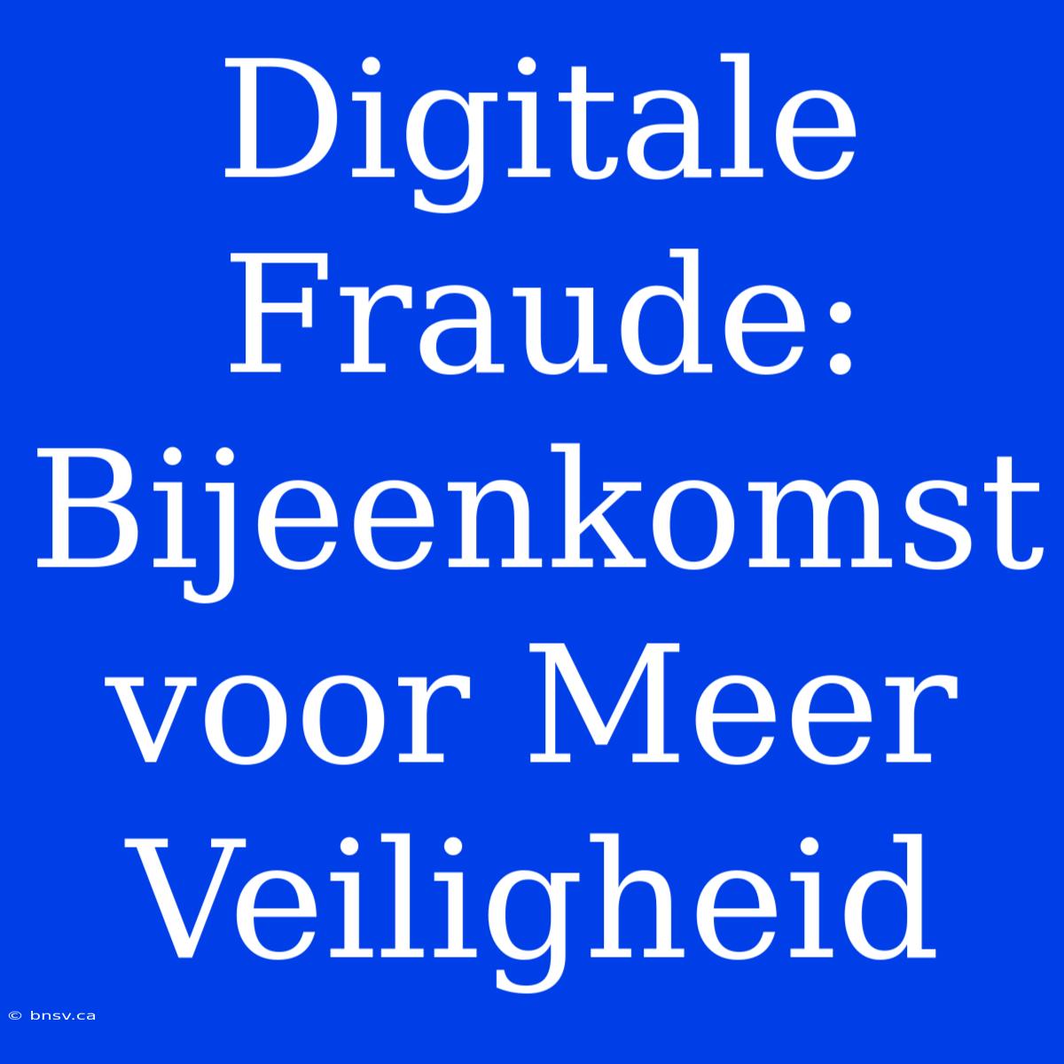 Digitale Fraude: Bijeenkomst Voor Meer Veiligheid