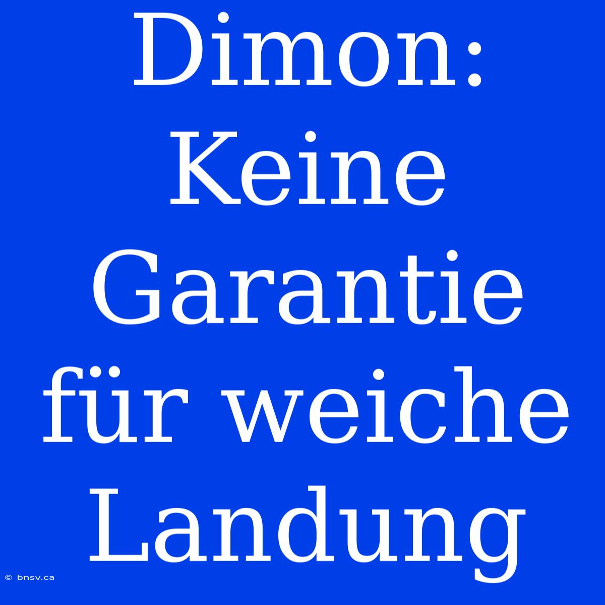 Dimon: Keine Garantie Für Weiche Landung