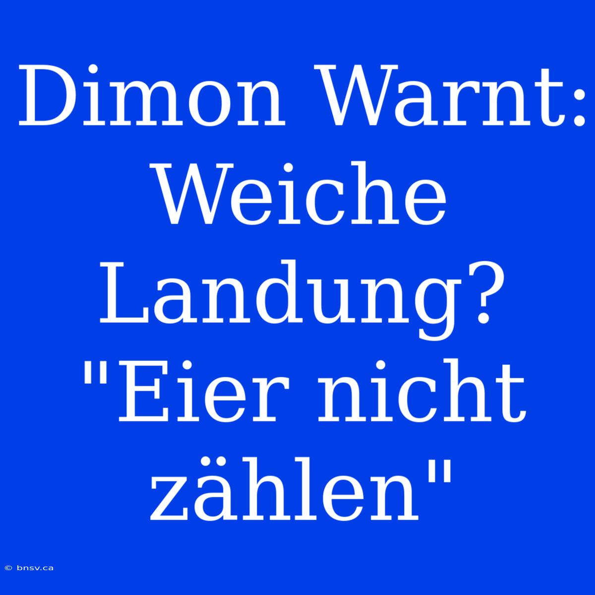 Dimon Warnt: Weiche Landung? 