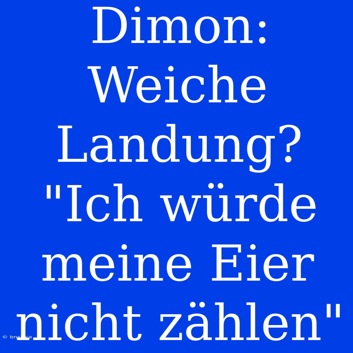 Dimon: Weiche Landung? 