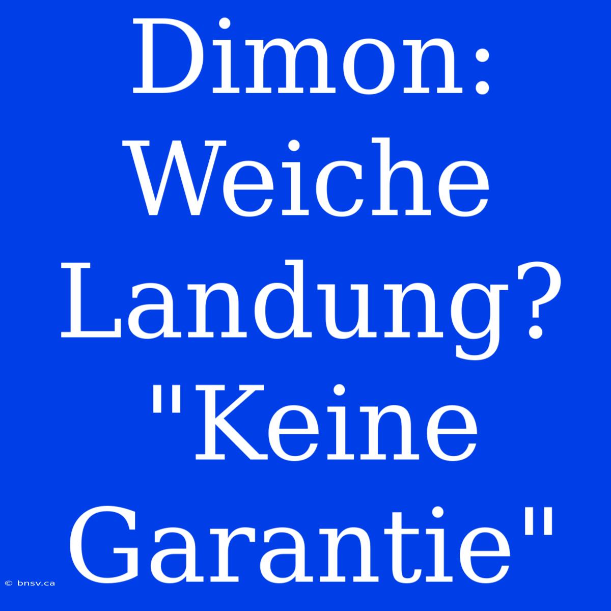 Dimon: Weiche Landung? 