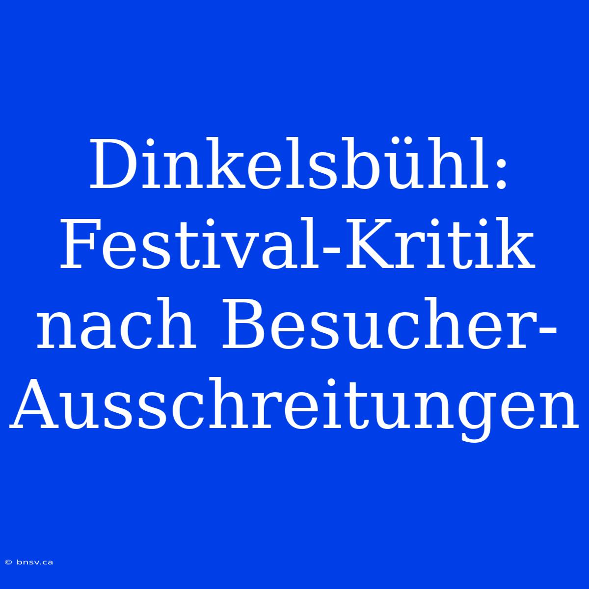 Dinkelsbühl: Festival-Kritik Nach Besucher-Ausschreitungen