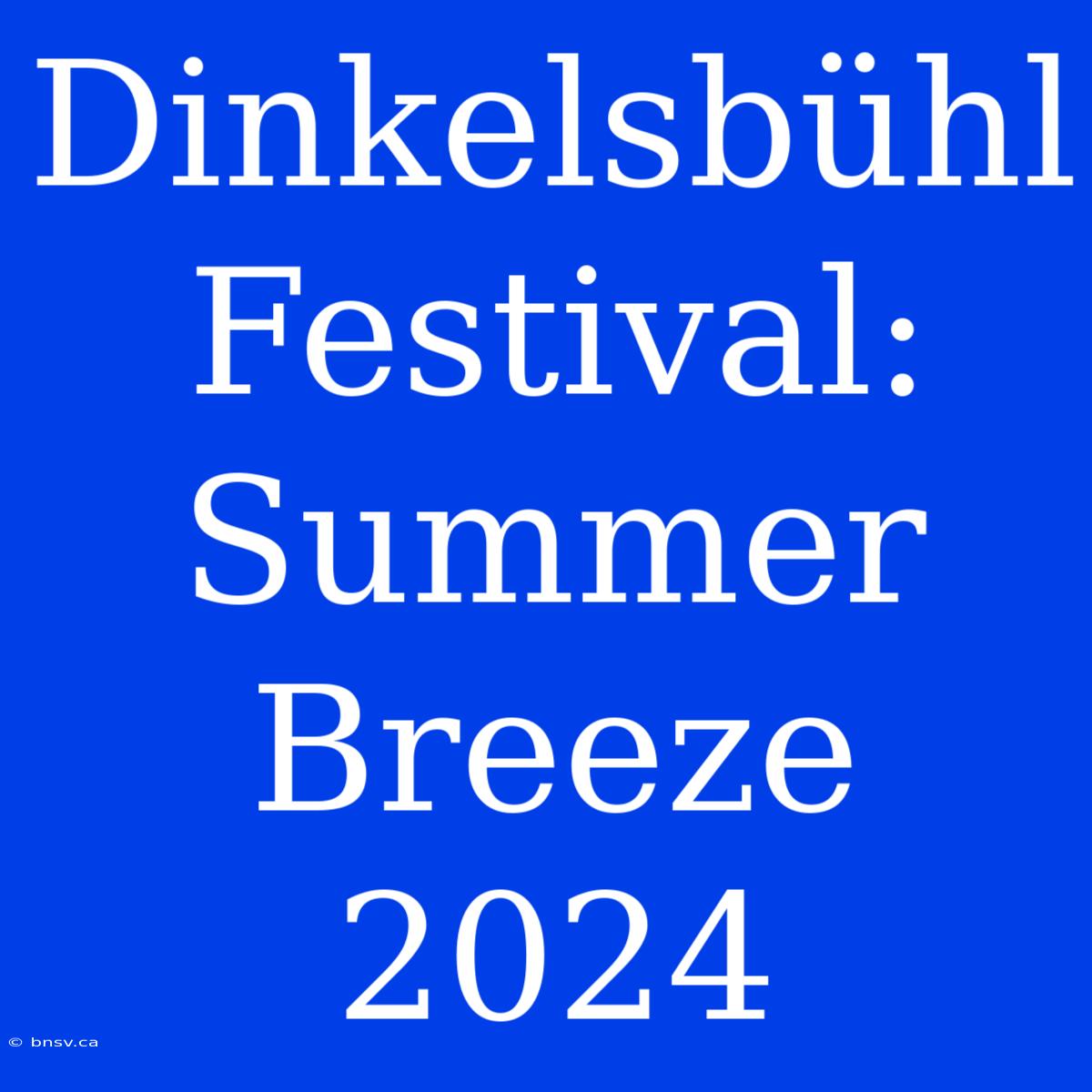 Dinkelsbühl Festival: Summer Breeze 2024