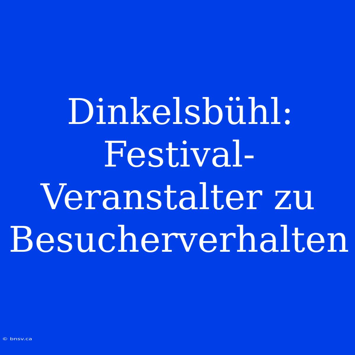 Dinkelsbühl: Festival-Veranstalter Zu Besucherverhalten