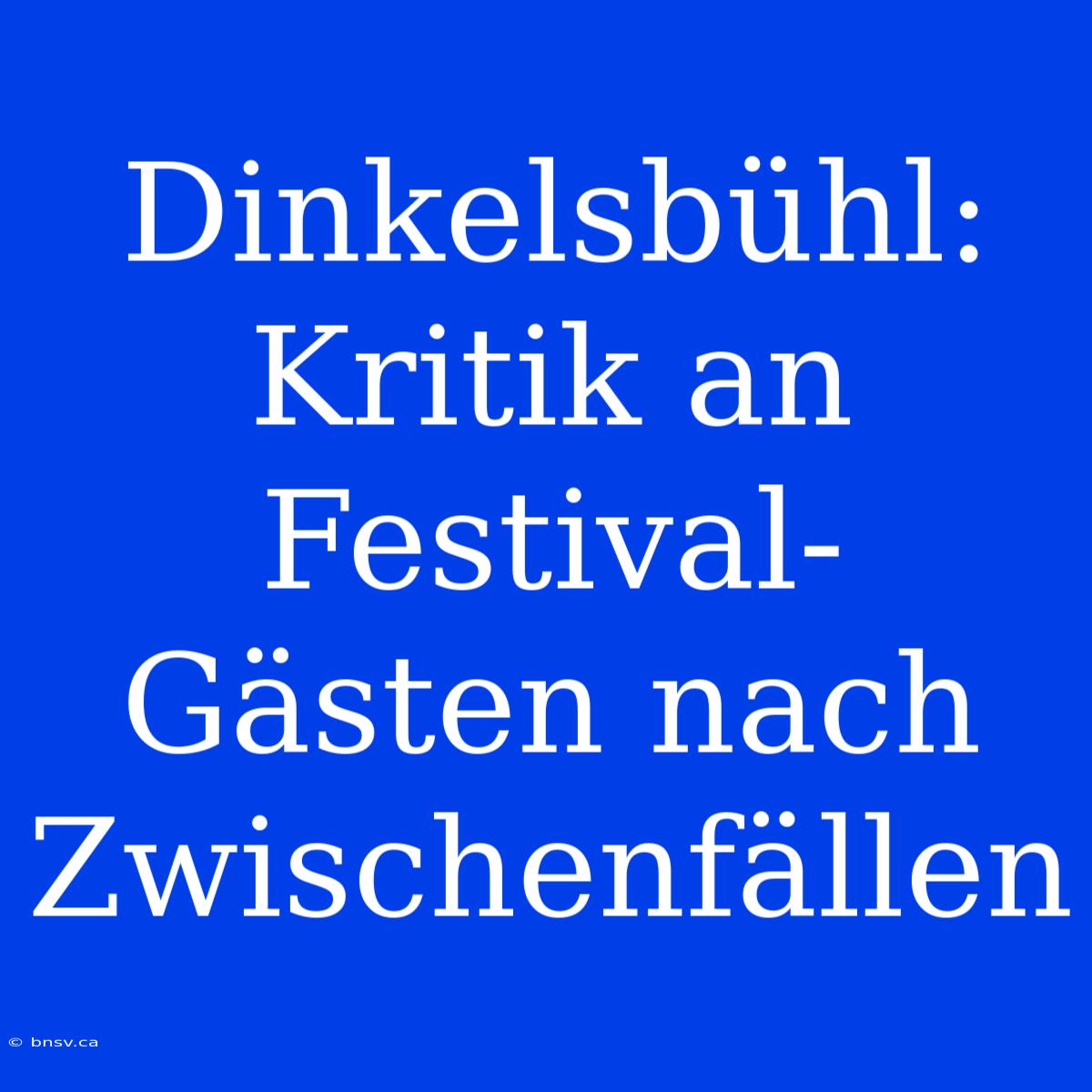 Dinkelsbühl: Kritik An Festival-Gästen Nach Zwischenfällen