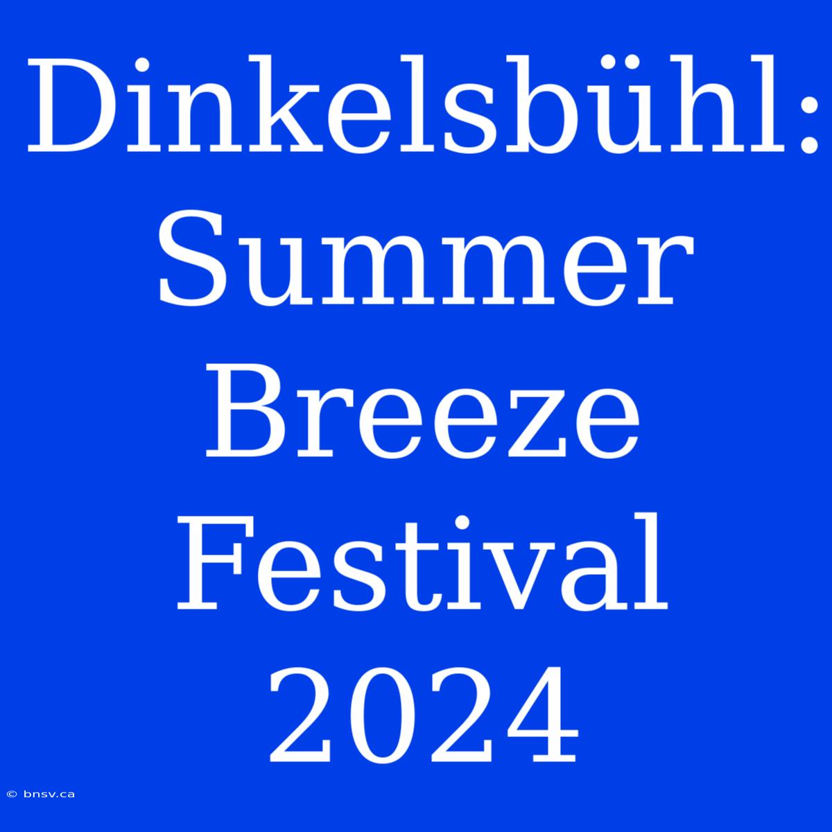 Dinkelsbühl: Summer Breeze Festival 2024