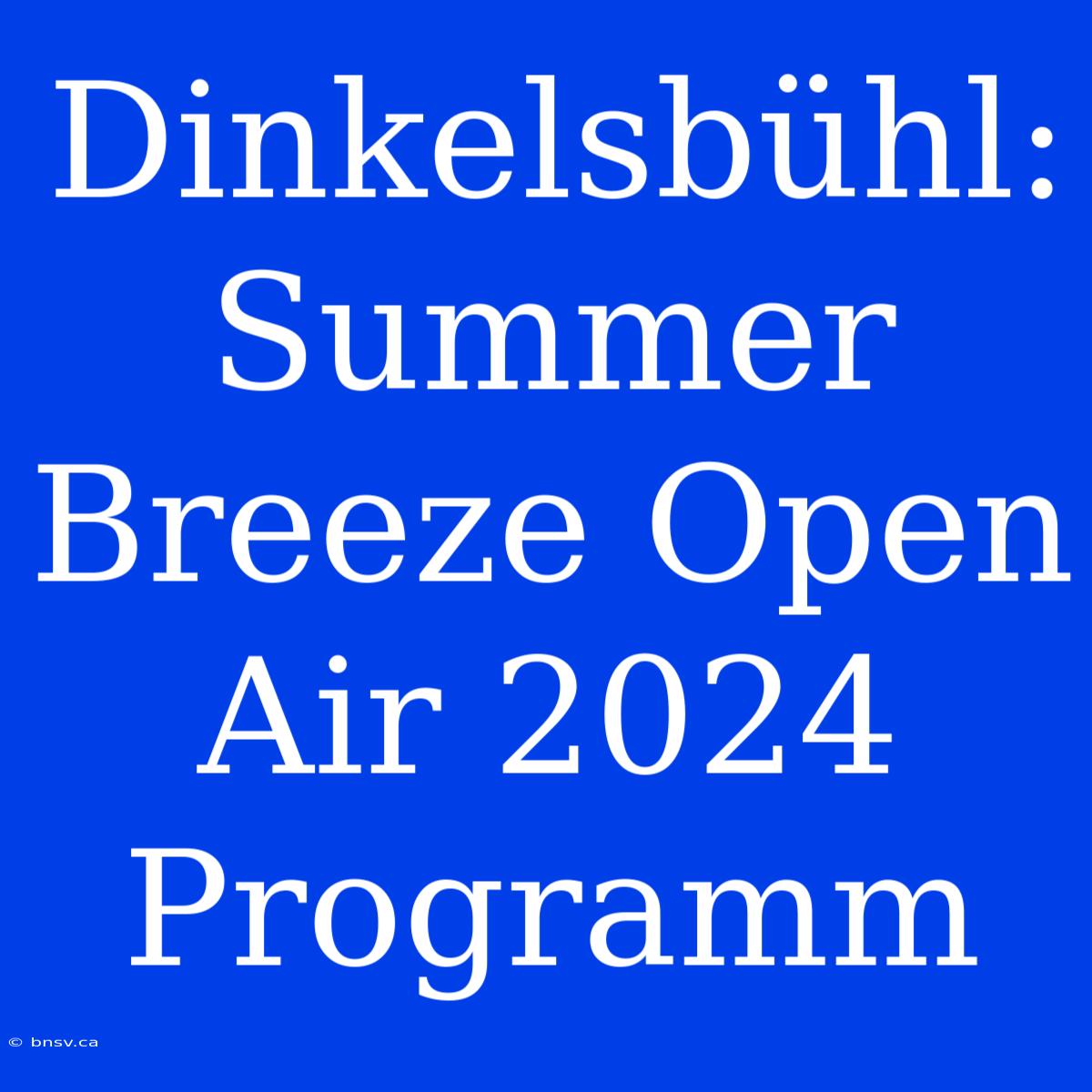 Dinkelsbühl: Summer Breeze Open Air 2024 Programm