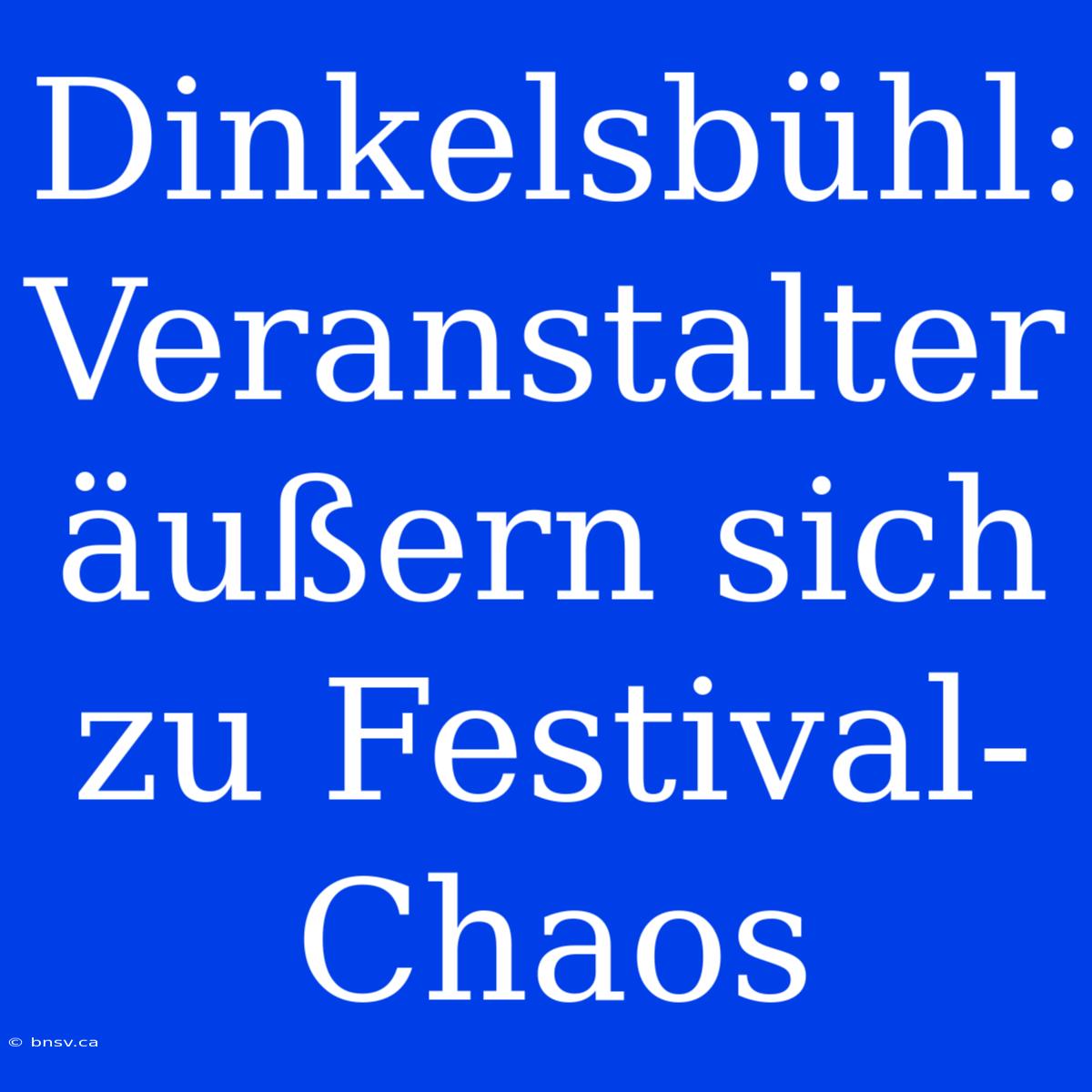 Dinkelsbühl: Veranstalter Äußern Sich Zu Festival-Chaos