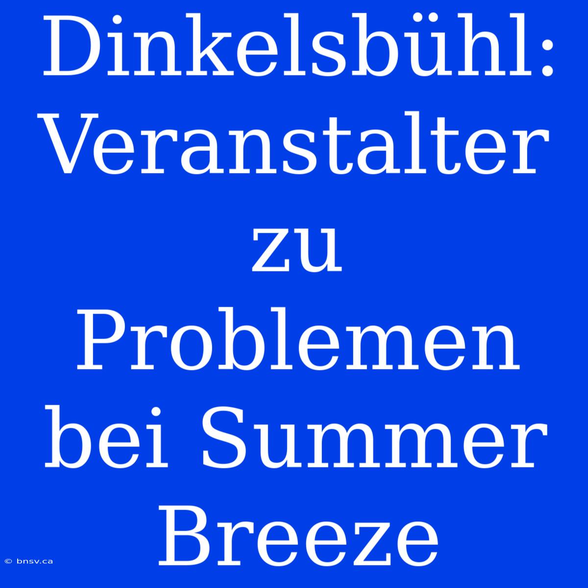 Dinkelsbühl: Veranstalter Zu Problemen Bei Summer Breeze